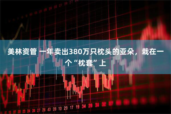 美林资管 一年卖出380万只枕头的亚朵，栽在一个“枕套”上