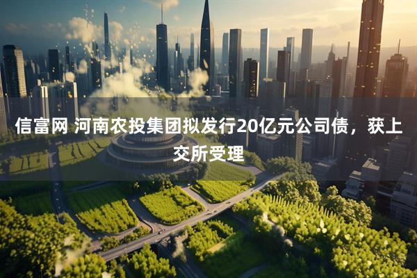 信富网 河南农投集团拟发行20亿元公司债，获上交所受理