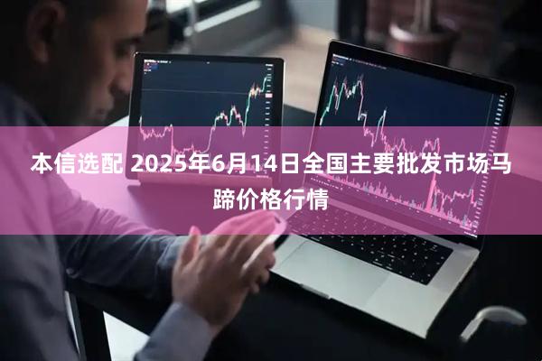 本信选配 2025年6月14日全国主要批发市场马蹄价格行情