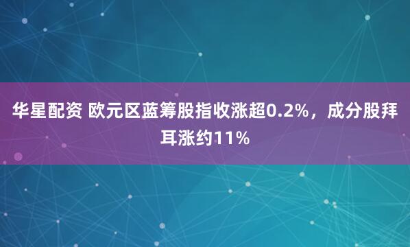 华星配资 欧元区蓝筹股指收涨超0.2%，成分股拜耳涨约11%